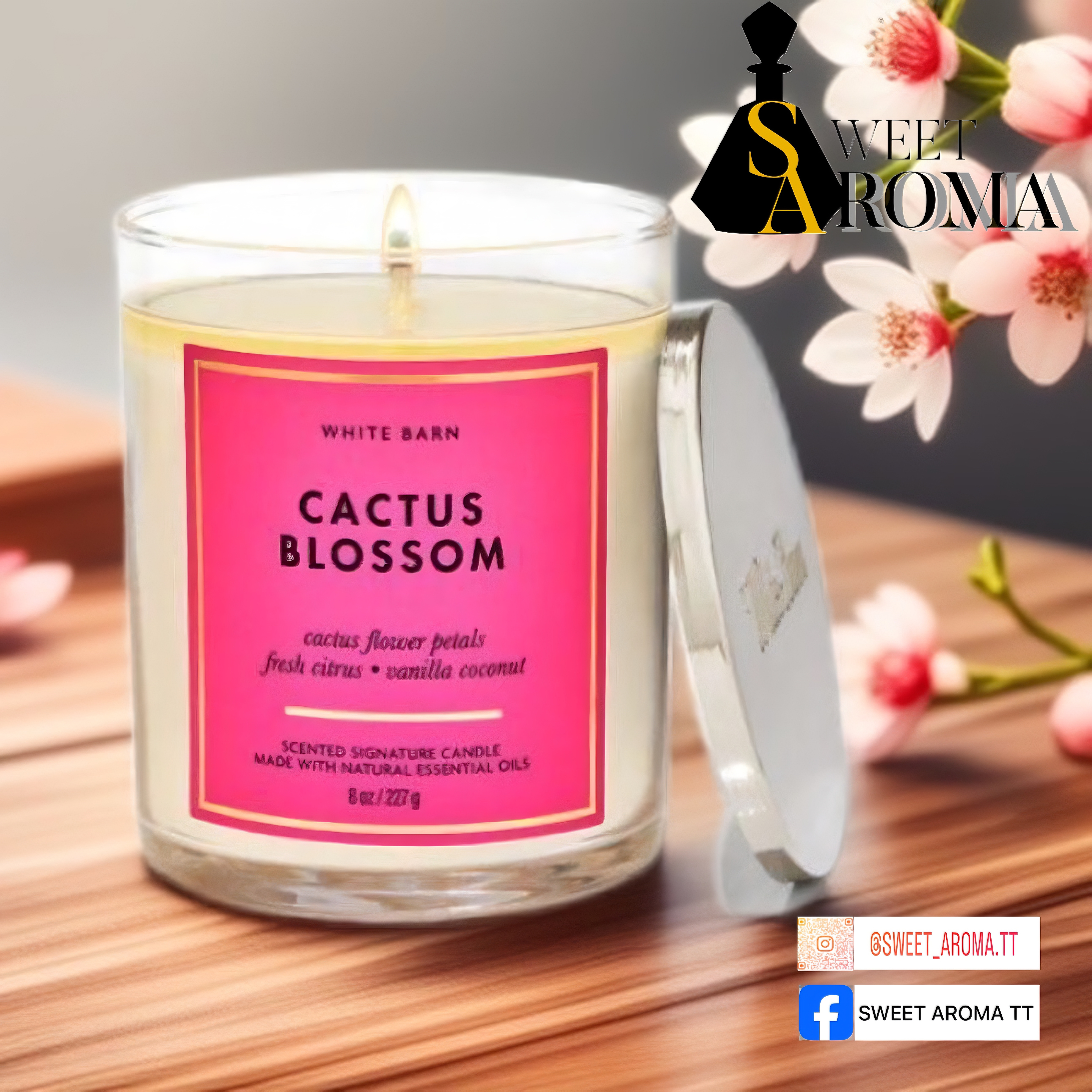 Bath & Body Works, Cactus Blossom 1 Wick Candle